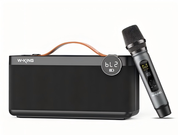 Portable karaoke speaker-H6