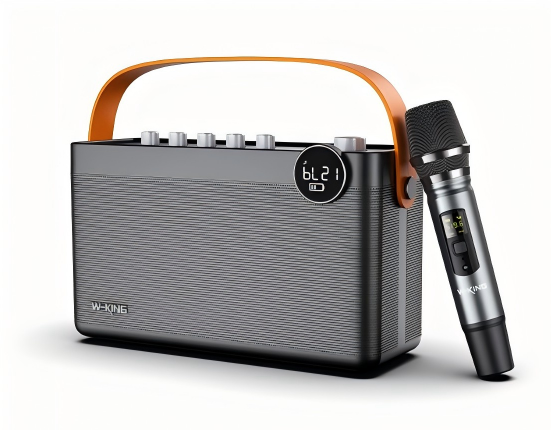 Portable subwoofer sound system-H8